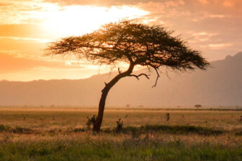 Блоки от Facebook и ВКонтакте